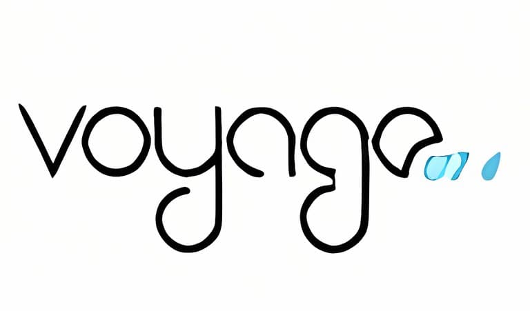 Radyo Voyage logosu